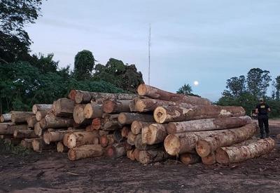 PF faz operação para combater crimes ambientais em Rondônia