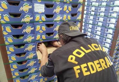Polícia Federal apreende cocaína escondida em carregamento de mangas