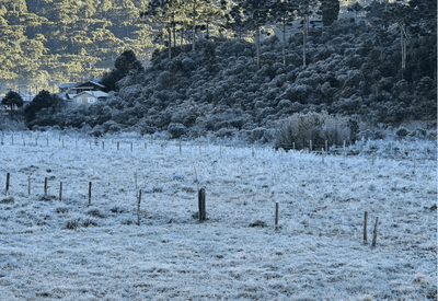Cidades da Serra Catarinense registram temperaturas negativas e amanhecem cobertas por geada