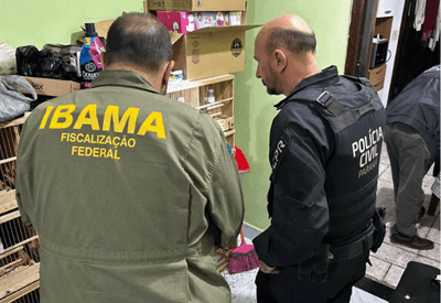 Polícia Civil do Paraná realiza operação contra tráfico internacional de animais silvestres e exóticos