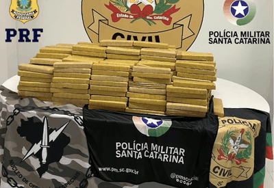 Polícia Civil de SC apreende mais de 200kg de maconha durante megaoperação