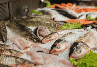 Preço dos pescados deve disparar antes da Semana Santa e preocupa autoridades em Belém do Pará