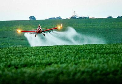 Projeto que flexibiliza uso de agrotóxicos é criticado por ambientalistas