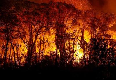 Pantanal e Cerrado: incêndios nos biomas devastaram área equivalente a 1135 campos de futebol no MS