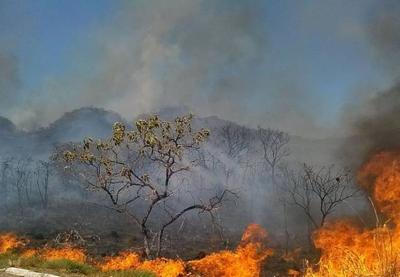 Pantanal bate recorde de queimadas no mês de setembro