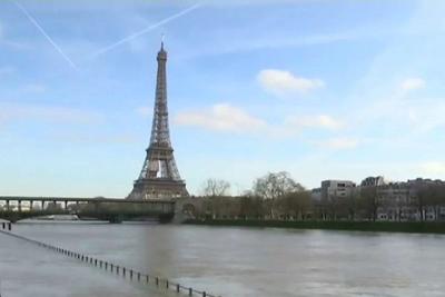 Paris sofre com infestação de ratos após enchente do rio Sena