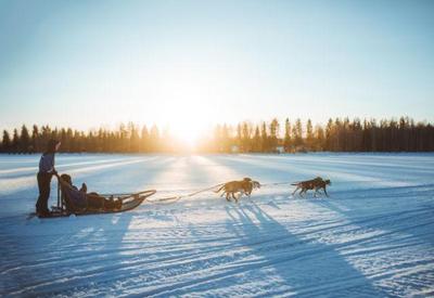 Como fazer um passeio com huskies na região da Lapônia?