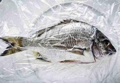 Pesquisadores acham plástico em 98% dos peixes coletados para estudo