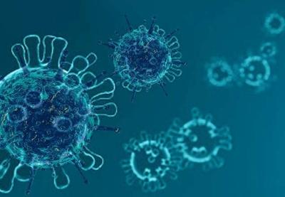 Pesquisadores descobrem anticorpo que neutraliza ação do coronavírus