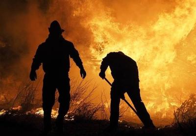 Pesquisadores desenvolvem tecnologia que prevê incêndios florestais