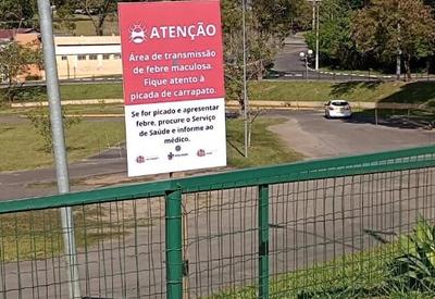Prefeitura decide sacrificar capivaras com maculosa no interior de SP