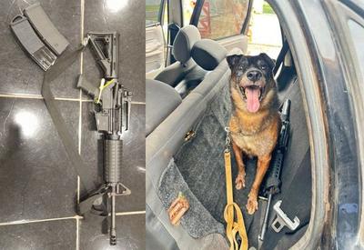 Com ajuda de cão, PF encontra fuzil usado por fugitivo de Mossoró (RN)