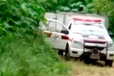 Polícia de SP investiga morte de 6 jovens encontrados em matagal