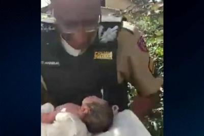 Policiais salvam recém-nascido abandonado em matagal pela mãe