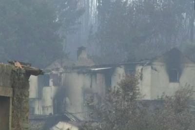 Portugal: Plano de incêndios não é avaliado há quatro anos