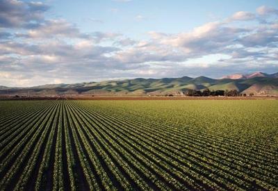 Governo lança plano para promoção de agricultura de baixo carbono