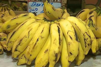 Preço da banana sobe e fruta perde espaço na lista de compras
