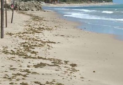 Prefeito denuncia infestação de fezes nas praias de Cabedelo, PB