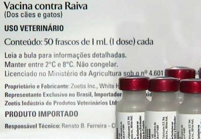 Prefeitura de São Paulo cancela campanha de vacinação contra a raiva