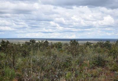 Em Mato Grosso, fechado maior acordo para remunerar área preservada