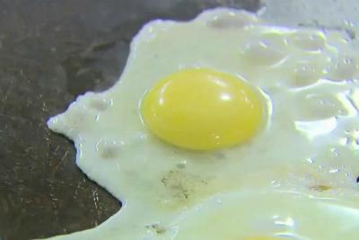 Produção e consumo de ovos de galinha bate recorde histórico no Brasil 