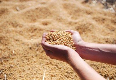 Agronegócio atinge novo recorde de US$ 14,53 bilhões nas exportações