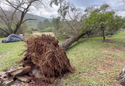 Chuva forte provoca alagamento, queda de árvore e prejuízo no RS