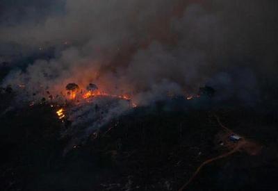 Setembro responde por 50% de toda a área queimada do Brasil em 2022