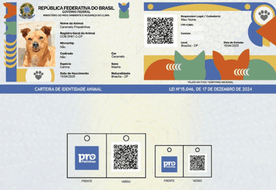 SinPatinhas: saiba como funciona e como fazer um RG para o seu pet