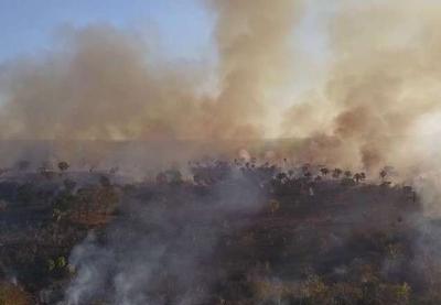 Região do pantanal tem maior incêndio em 22 anos