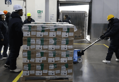Brasil recebe primeiro lote de medicamento inédito para tratar câncer de mama no SUS