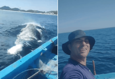 Vídeo: "Momento único", diz pescador que filmou baleia arrastando barco no RJ
