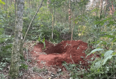 Sem saber que seria assassinada, mulher ajuda a cavar cova em Santa Catarina