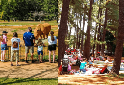 Zoológico e Jardim Botânico de Brasília terão entrada e transporte gratuitos aos domingos e feriados