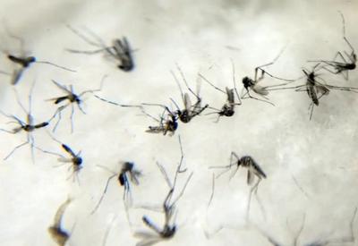 São Paulo registra 27 mortes por dengue