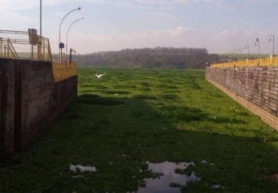 Seca e poluição prejudicam barcos no rio Tietê