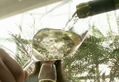 Serra Gaúcha vira principal destino para apreciadores de vinho no inverno
