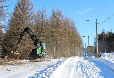 Finlândia inicia construção de muro na fronteira com Rússia