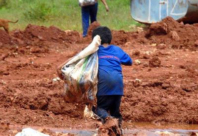 Trabalho infantil alcança 1,7 milhão de jovens no Brasil, diz Abrinq