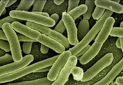 Surto bacteriano atinge milhares de pessoas na China