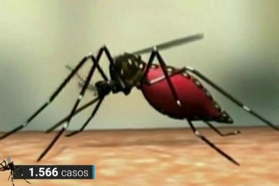 Surto de Chikungunya deixa o Rio de Janeiro em estado de alerta