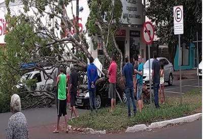 Tempestade que atingiu Paraná causa destruição e pânico entre moradores
