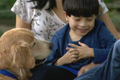 Terapia com animais ganha cada vez mais adeptos entre portadores do autismo
