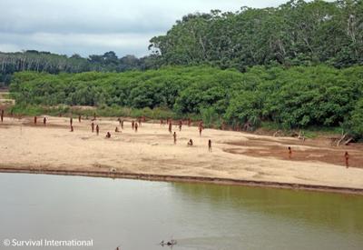 Vídeo mostra tribo isolada na Amazônia peruana perto de área de exploração madeireira