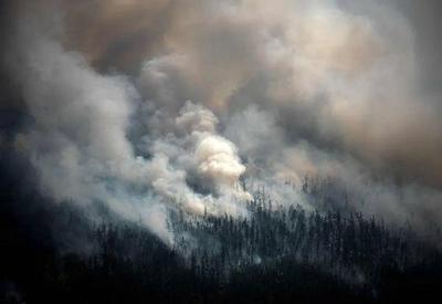 Incêndio na Sibéria pode ser o maior do mundo, alerta Greenpeace
