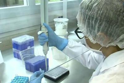 Vacina contra zika mostra resultados animadores em testes com camundongos