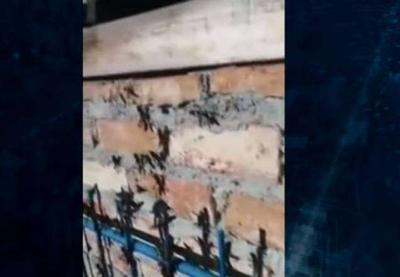 Vídeo: gafanhotos invadem casa no sudoeste da Bahia