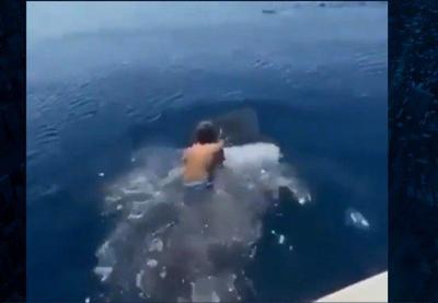 Vídeo mostra homem "surfando" em tubarão-baleia e gera polêmica