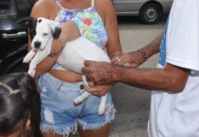 Após 26 anos, Rio registra caso de raiva animal em cachorro