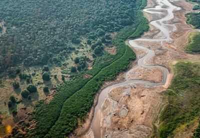 Seca no Brasil: 'Cientistas estão surpresos e muito preocupados', diz climatologista Carlos Nobre